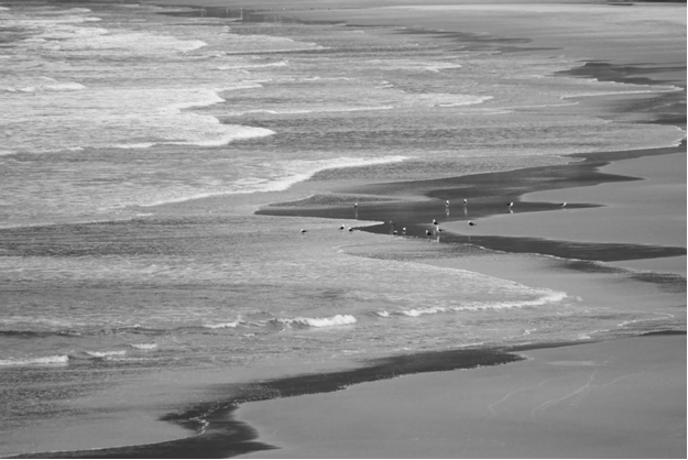 Foto: Michelle Martins