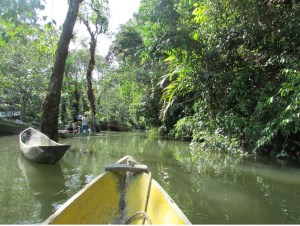 Foto n° 2- Paisagem de um charco no pacífico colombiano.