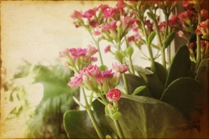 vintique_20140203_230432