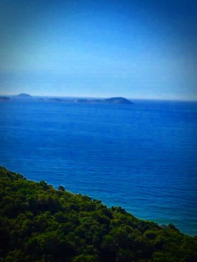 vontade_karla julia_haikais